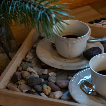 Sloneczny 자코파네