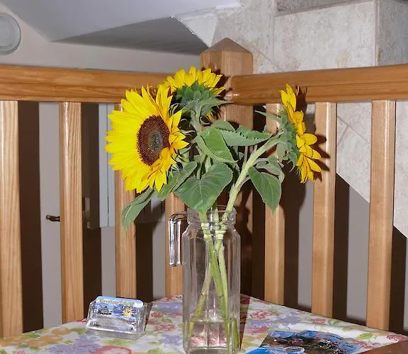 Sloneczny 3* ザコパネ