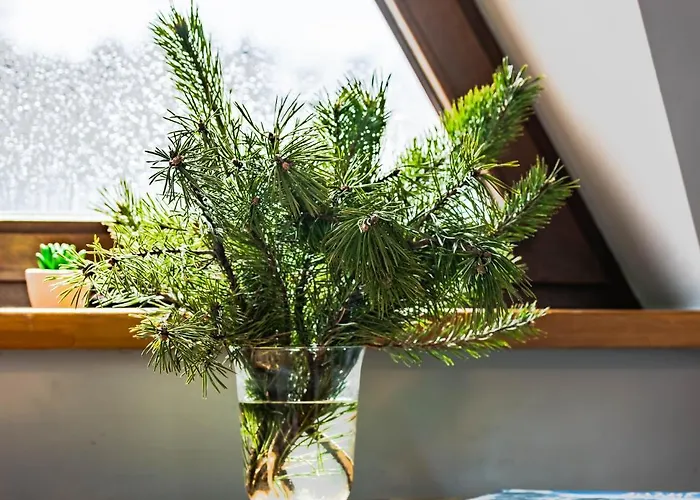 Sloneczny Bed and breakfast 3*